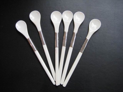 Set of 6 spoon in bone with SP detail